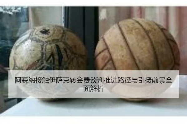 阿森纳接触伊萨克转会费谈判推进路径与引援前景全面解析