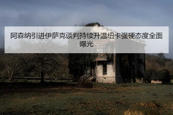 阿森纳引进伊萨克谈判持续升温纽卡强硬态度全面曝光