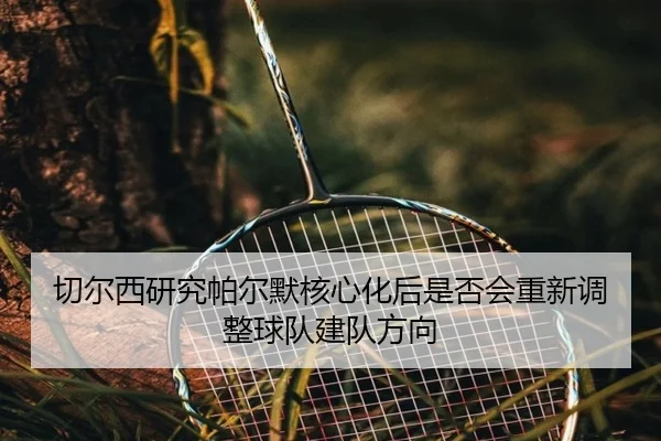 切尔西研究帕尔默核心化后是否会重新调整球队建队方向