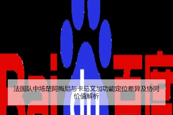 法国队中场楚阿梅尼与卡马文加功能定位差异及协同价值解析